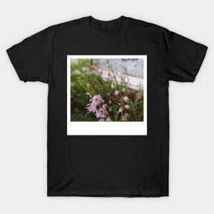 an old photo of a flower taken with an instant print camera T-Shirt